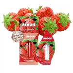 بطری خوشبو کننده مایع Areon STRAWBERRY با رایحه میوه‌ای